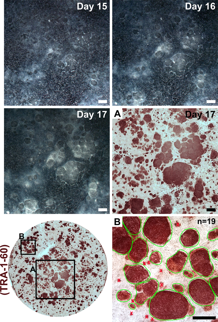 Figure 3: