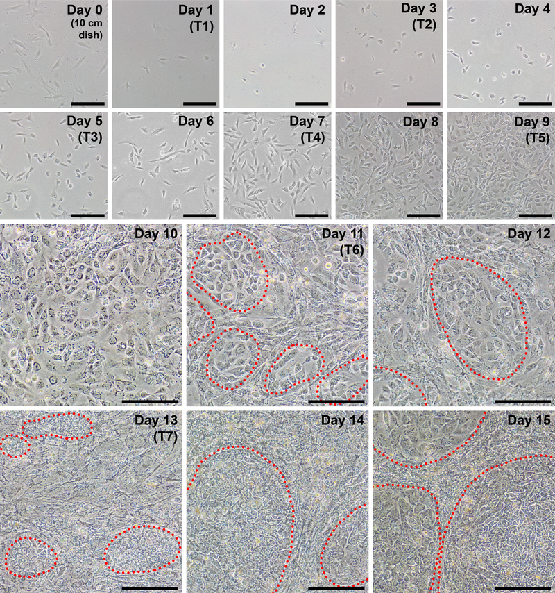 Figure 2: