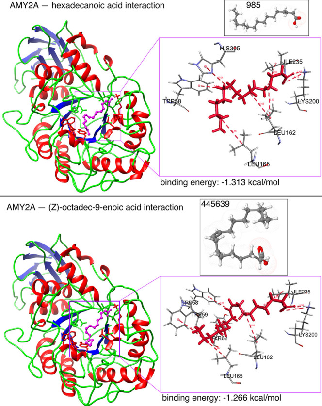 Figure 13