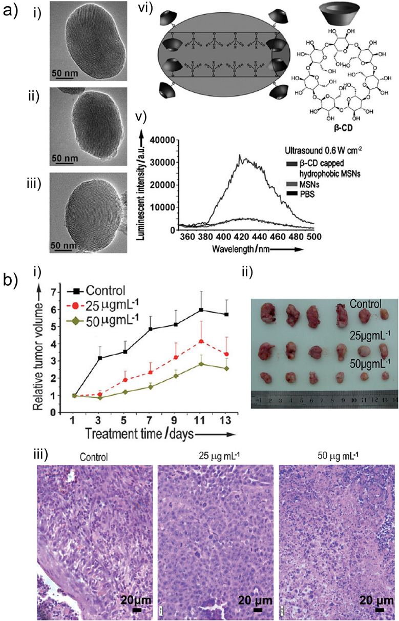 Fig.12