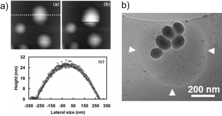 Fig. 2