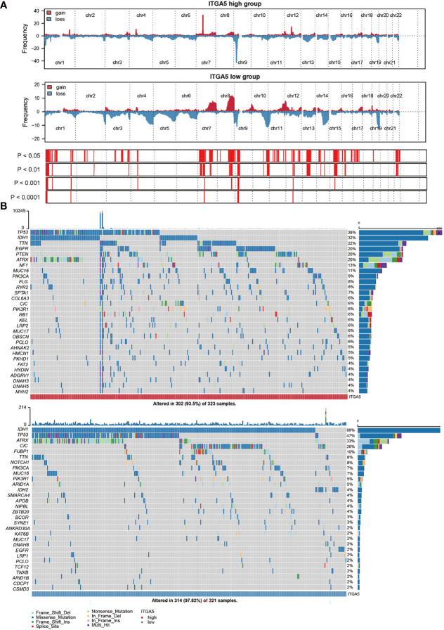 Figure 4