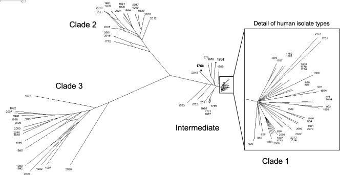 FIG. 2.