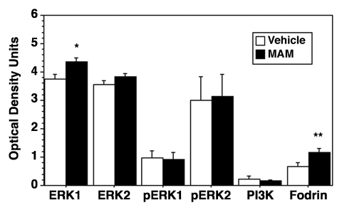 Figure 1.