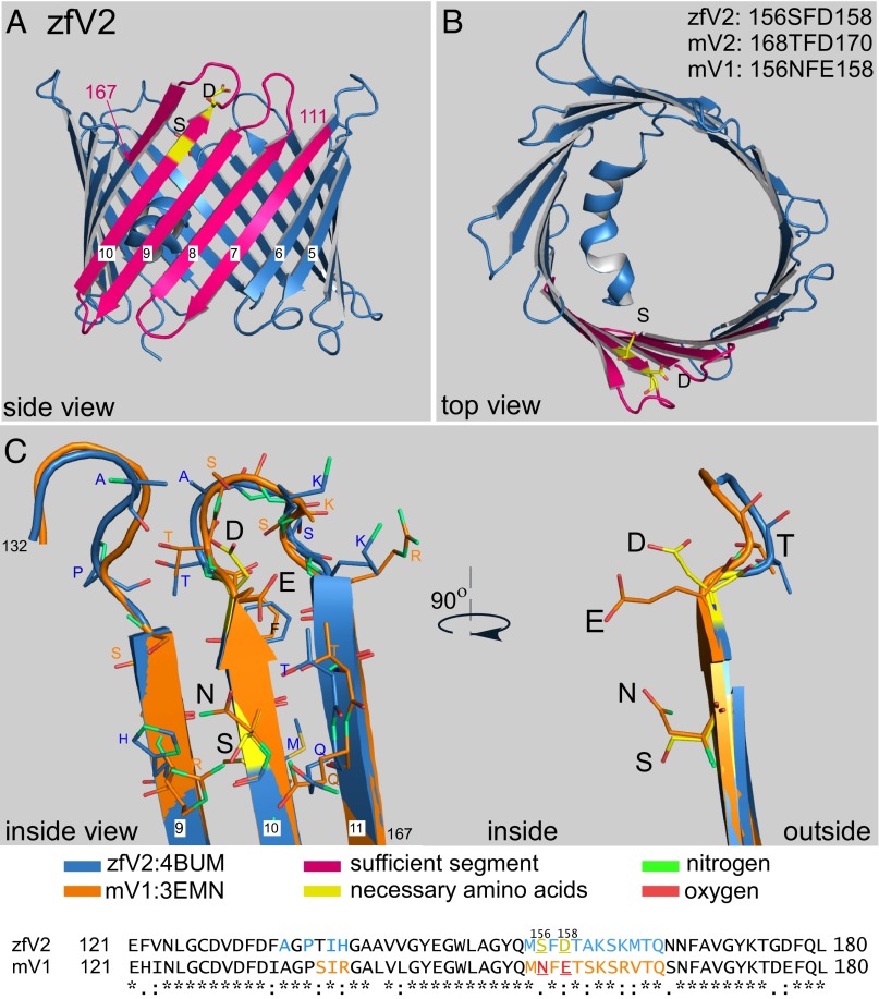 Fig. 6.