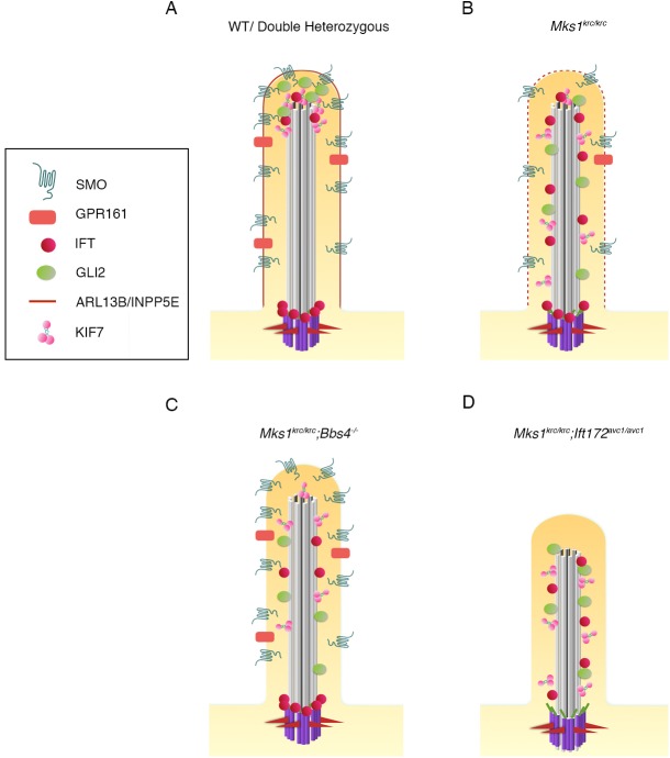 Fig 8