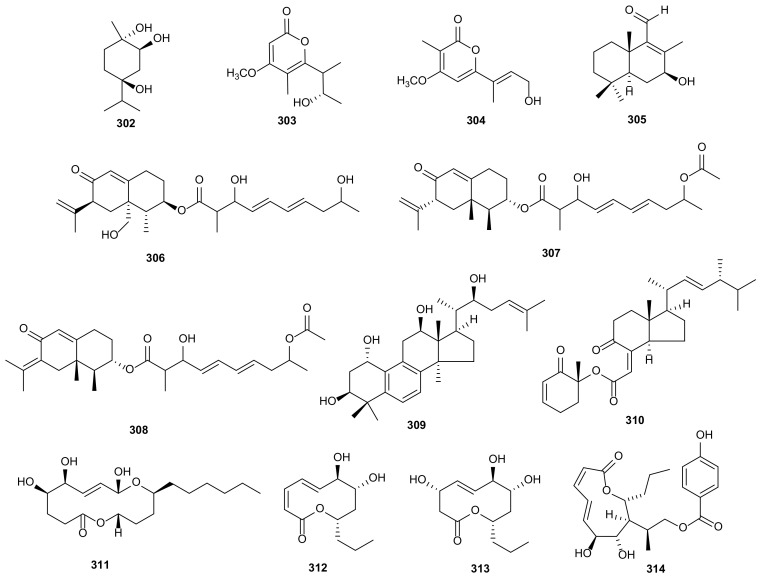 Figure 17