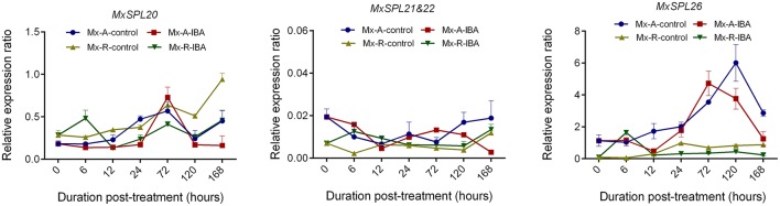 Figure 11