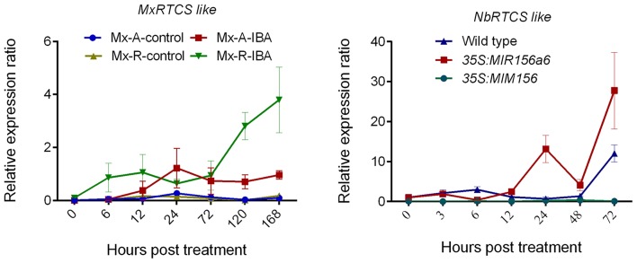 Figure 9