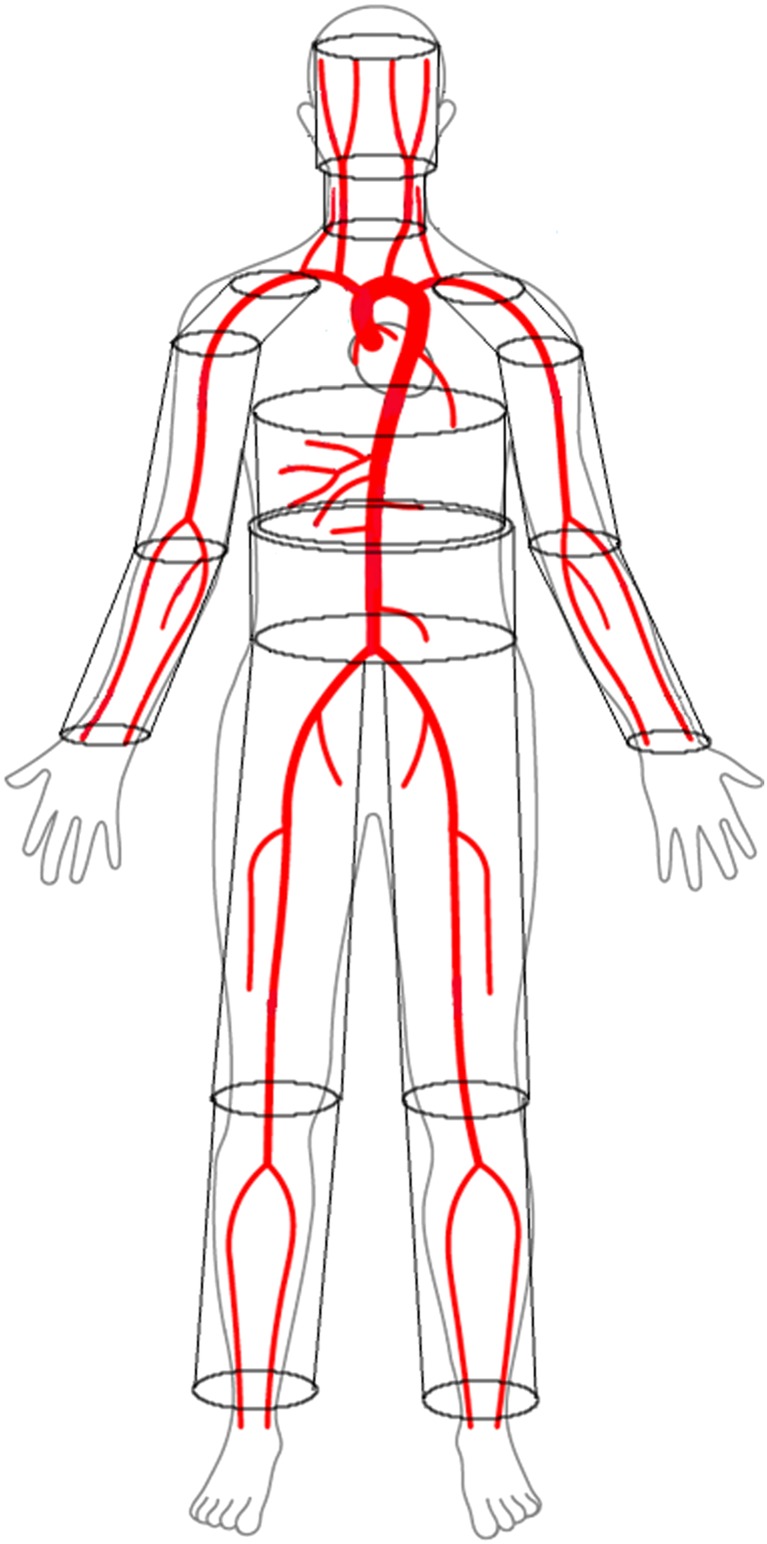 cnm3120-fig-0001