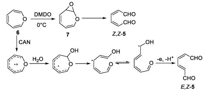 Scheme 3