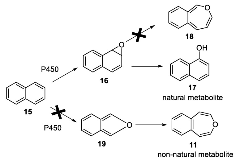 Scheme 4