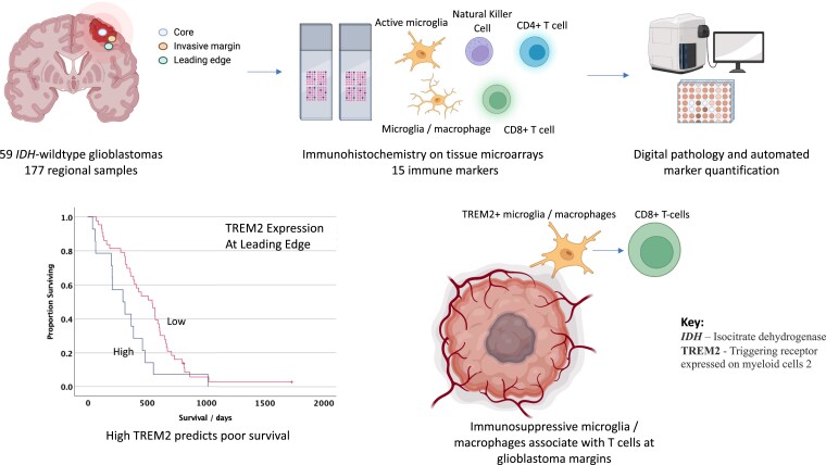 Graphical Abstract