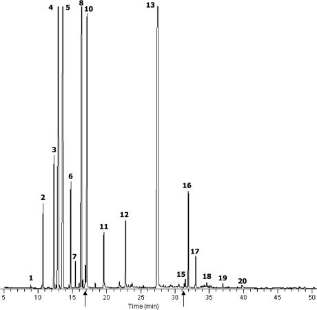 Fig. 1