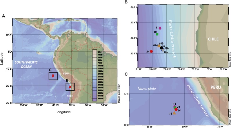 FIGURE 1