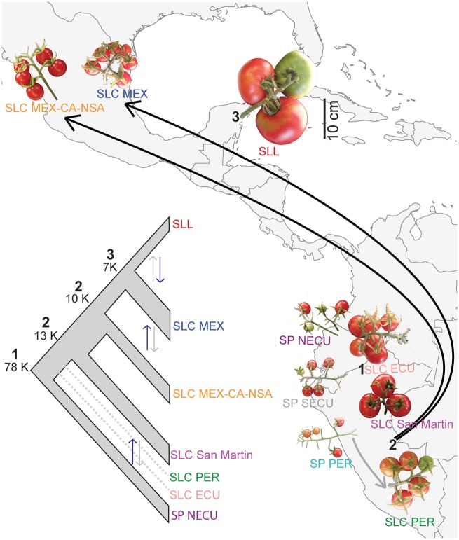 FIg. 3.