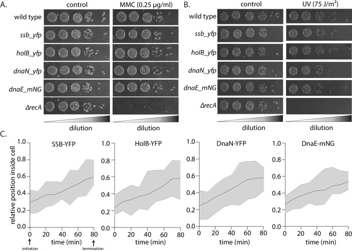 Figure 1—figure supplement 1.