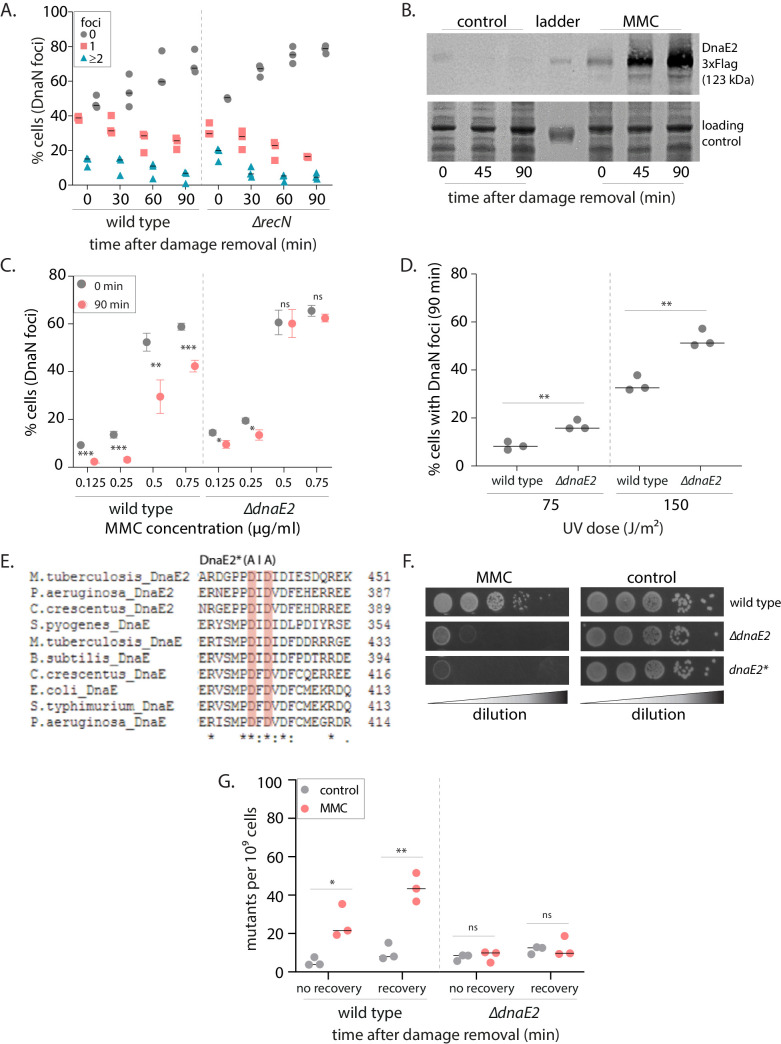 Figure 4—figure supplement 1.