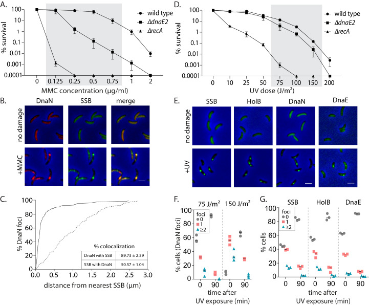 Figure 2—figure supplement 1.