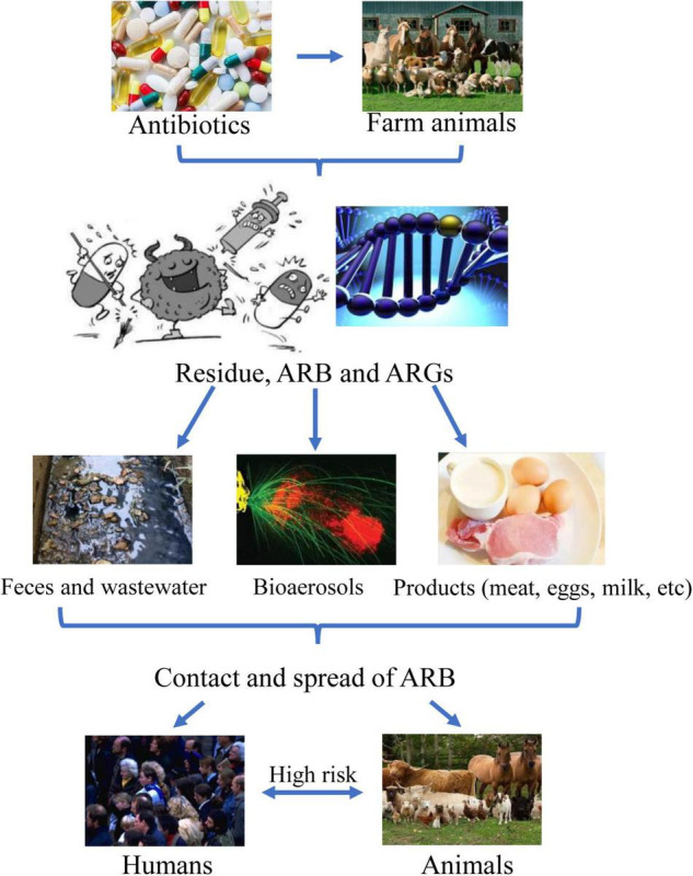 FIGURE 1