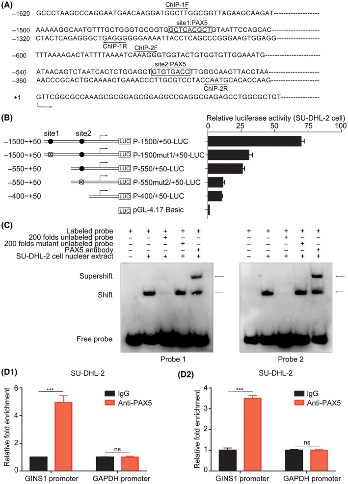 FIGURE 2