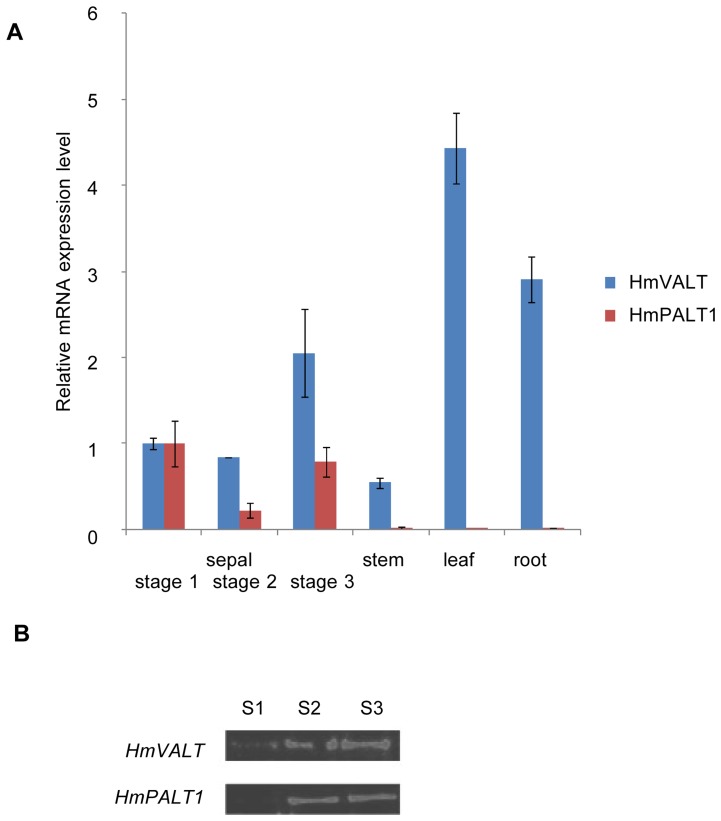 Figure 7