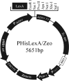 Fig. 1.
