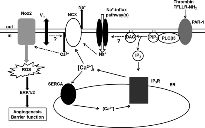 FIGURE 10.