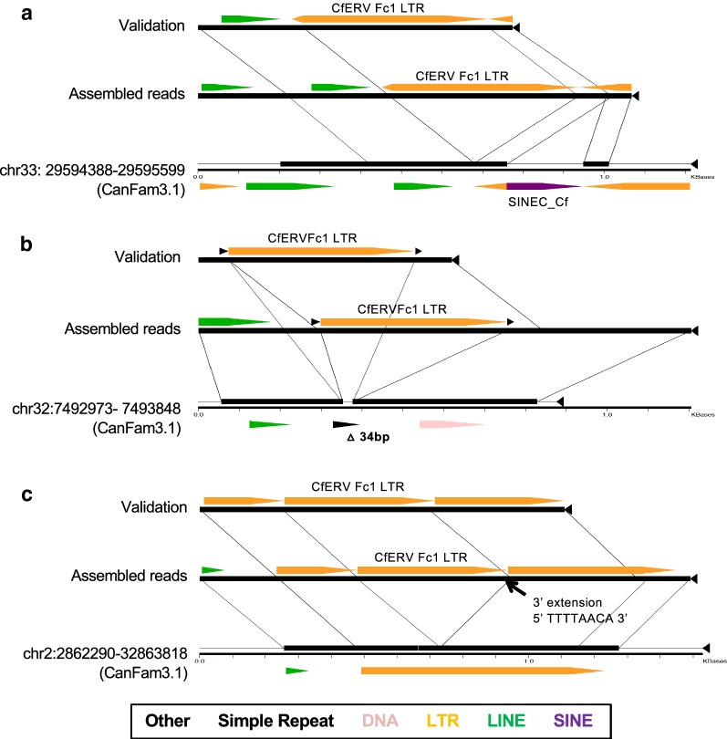 Fig. 4