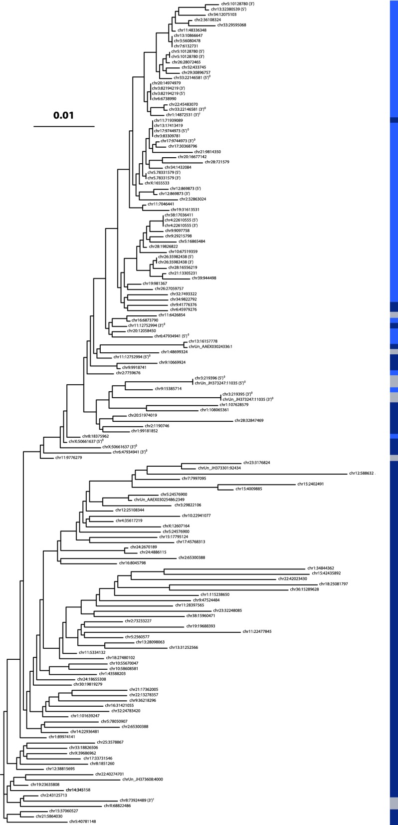 Fig. 6