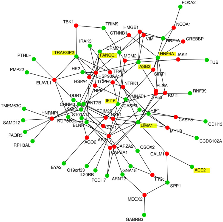 Figure 6