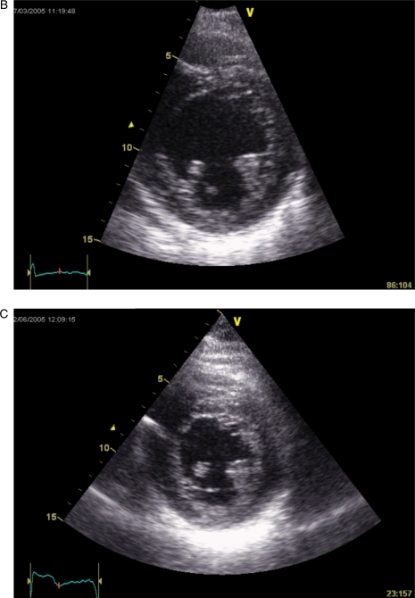 Figure 6