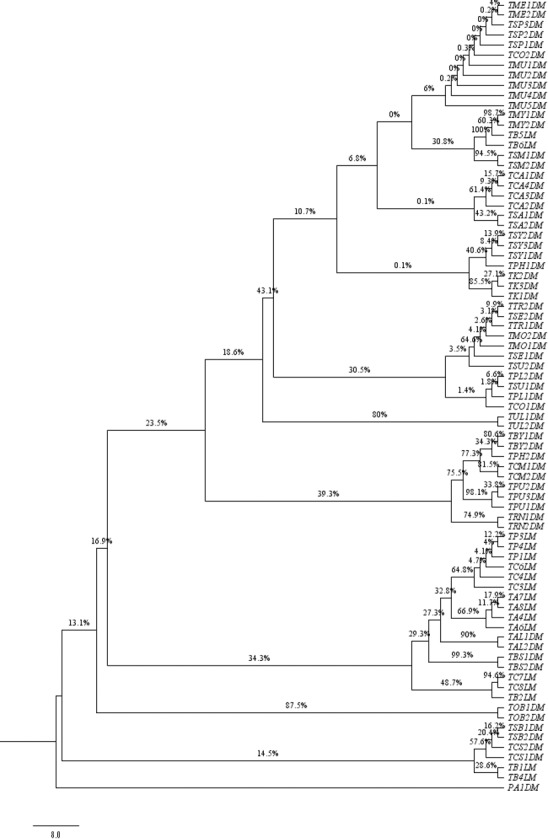 Fig 6