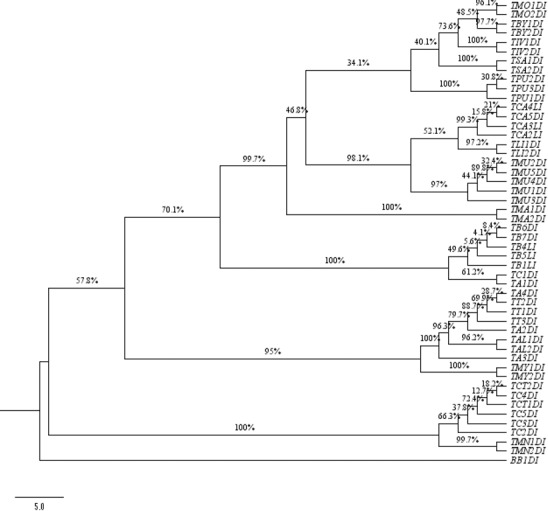 Fig 5