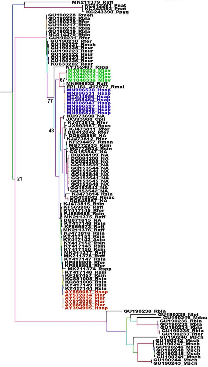 FIGURE 3