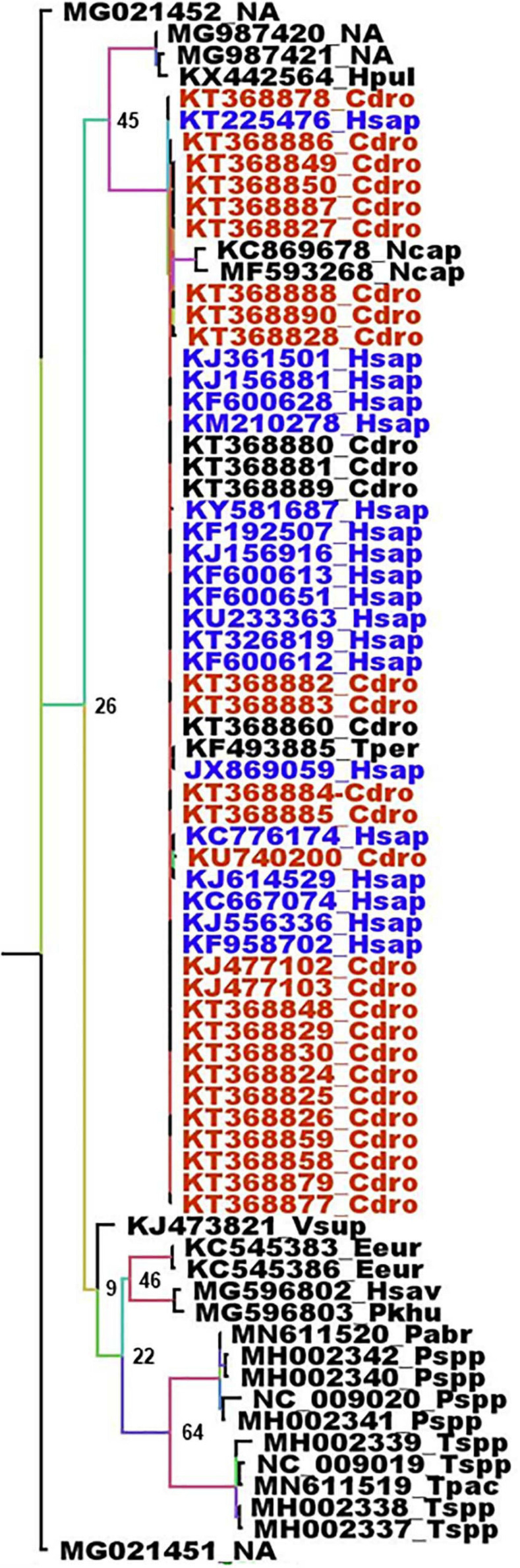 FIGURE 4