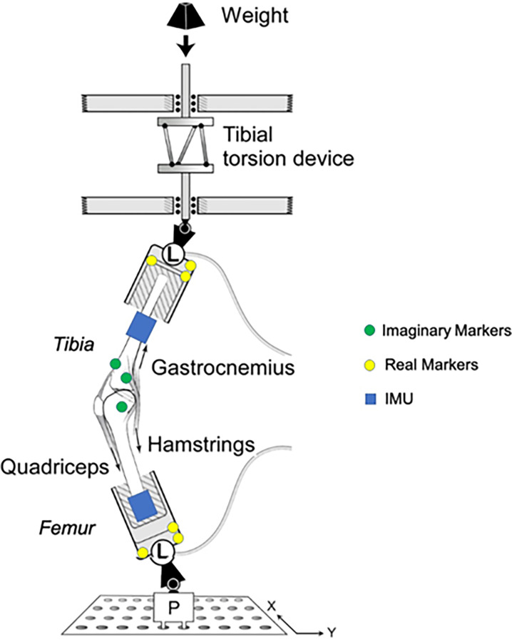Schematic of the test-rig. IMU placement and digital marker location labeled. Reproduced with permission from Ref. [34].