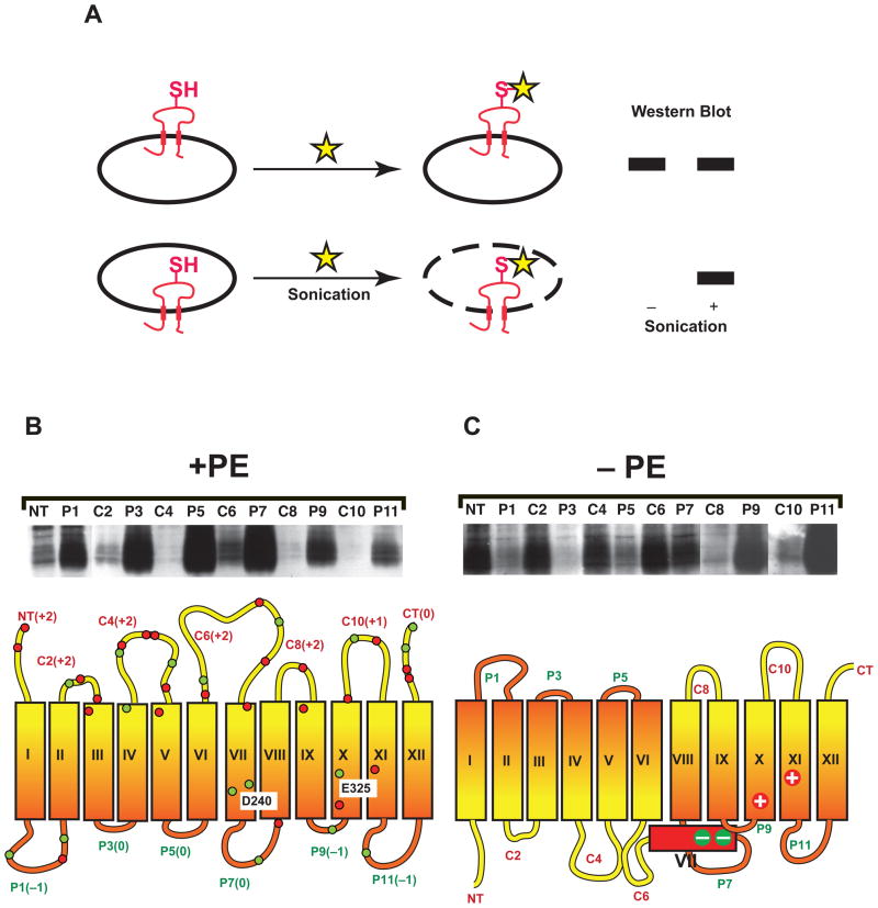 Fig. 4