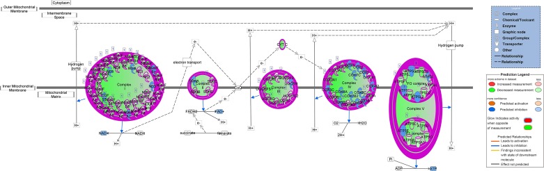 Fig. 8.