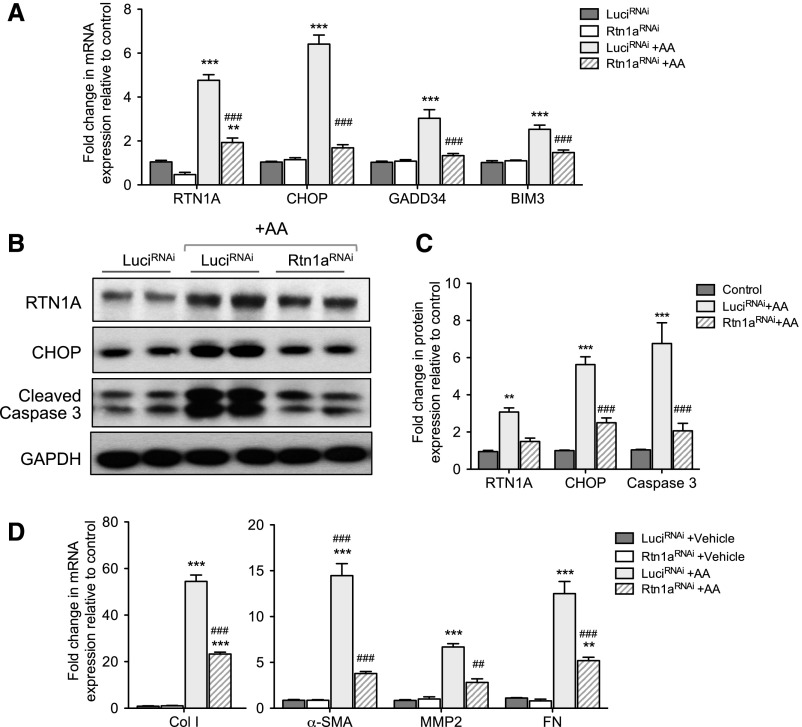 Figure 11.