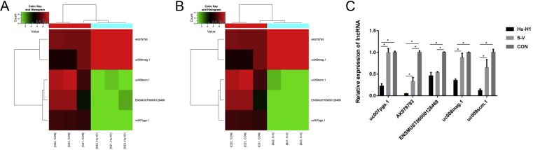 Figure 3