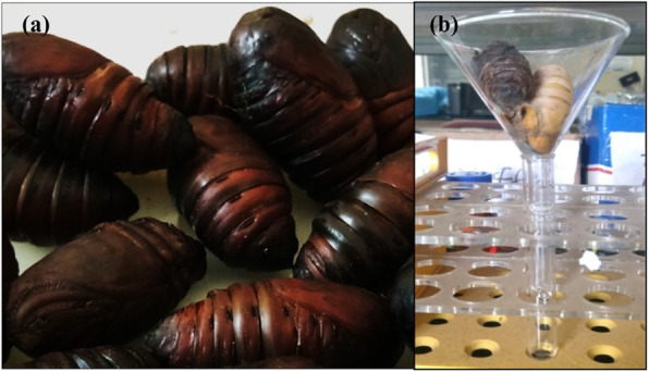 Fig. 14