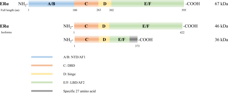 Figure 2