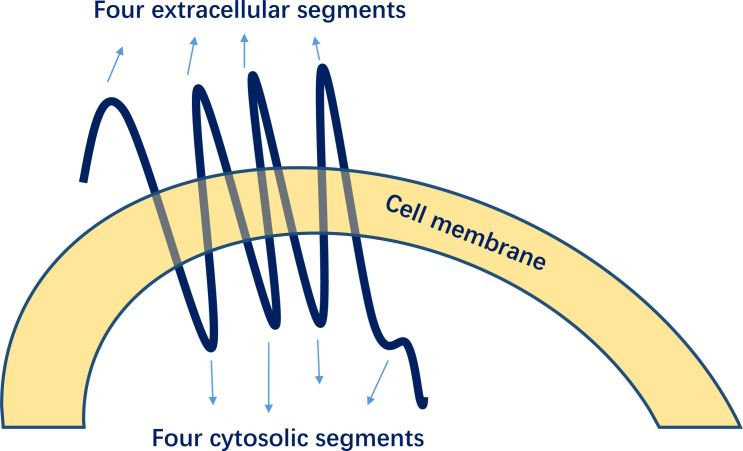 Figure 4