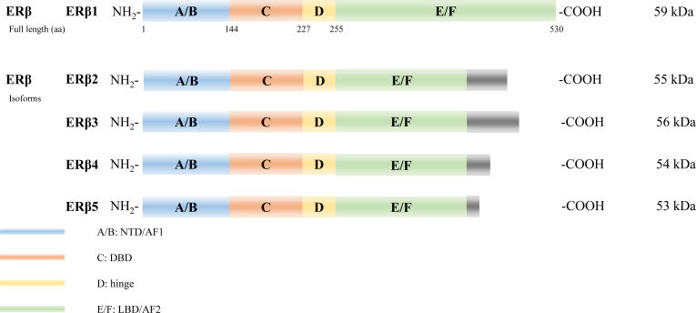 Figure 3