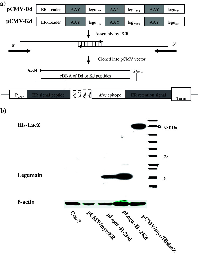 Fig. 1