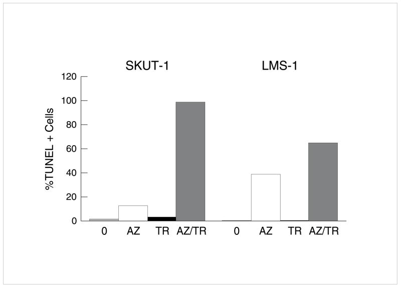 Fig 7