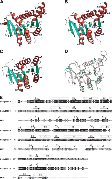 FIGURE 1.