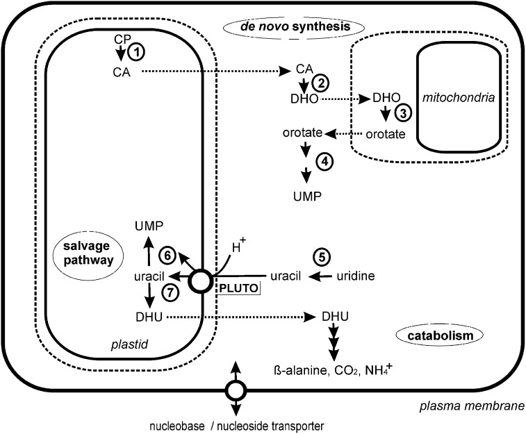 Figure 9.