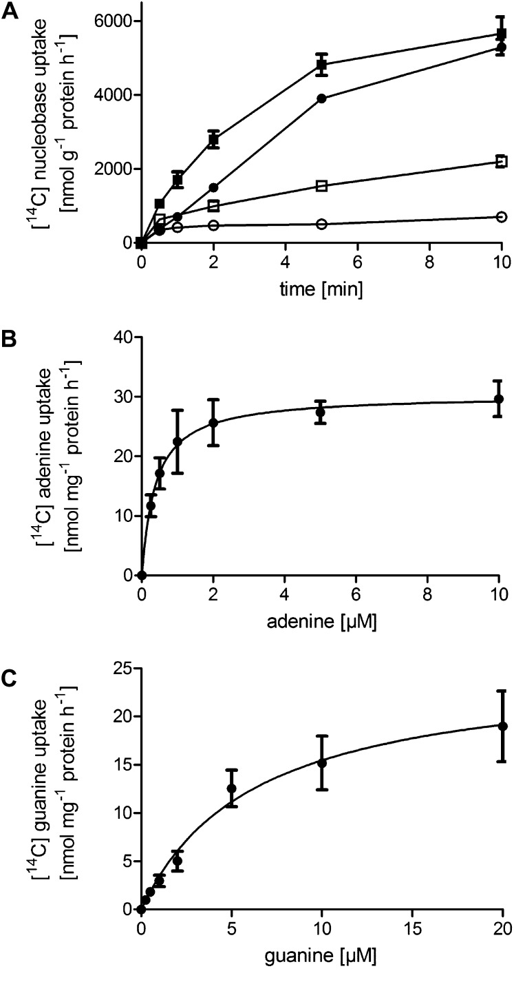 Figure 4.